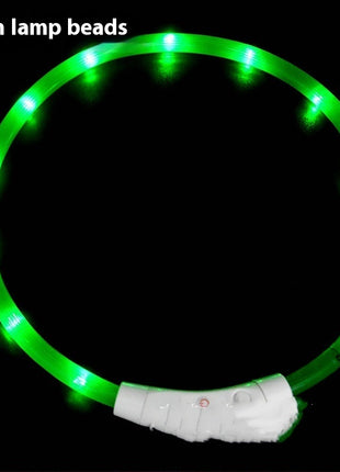 Glowing LED Collar USB Charging