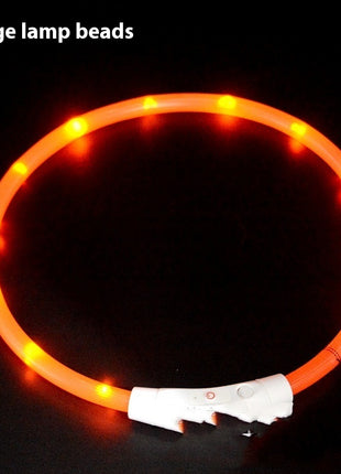 Glowing LED Collar USB Charging