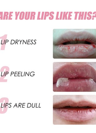 EELHOE Honey Infused Lip Oil