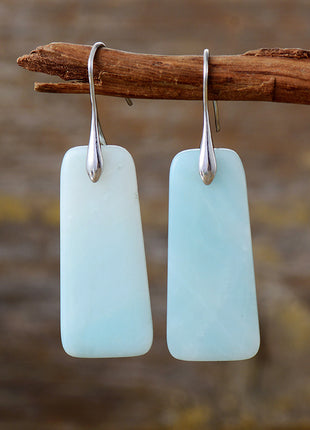 Geometric Pendant Earrings