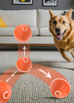 Intelligent Gravity Bouncing Ball for Dogs