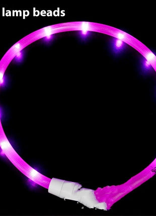 Glowing LED Collar USB Charging