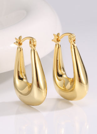 Niche Cold Scenery Surface U-shaped Earrings