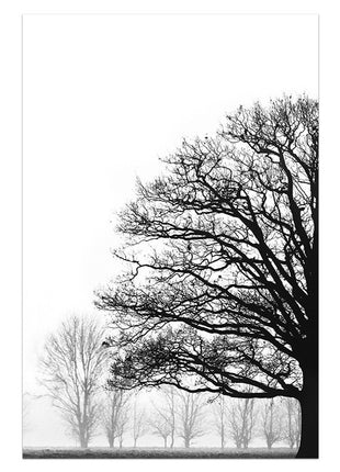 Black And White Trees - 70x100 cm