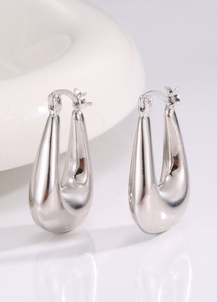 Niche Cold Scenery Surface U-shaped Earrings