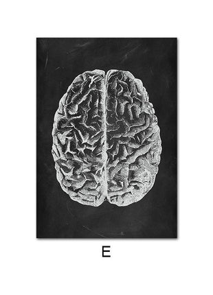 Human Anatomy 60 X 90 cm