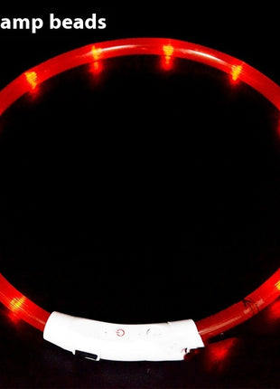 Glowing LED Collar USB Charging