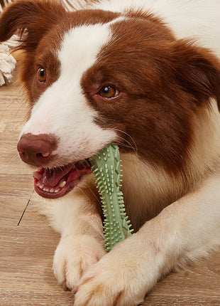 Chew Toys For Dog Teeth Cleaning