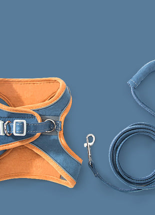 Cat Traction Rope Chest Strap To Prevent Breaking Free