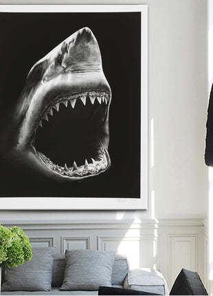 Shark - 60x90 cm