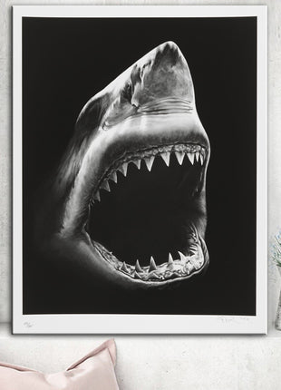Shark - 60x90 cm