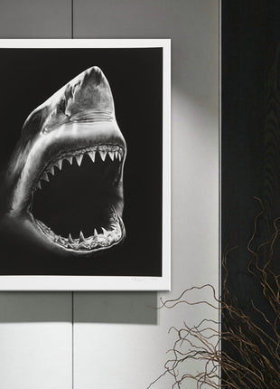 Shark - 60x90 cm