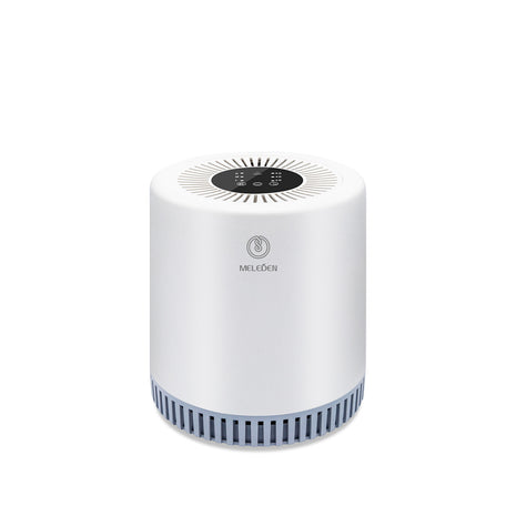 RIGOGLIOSO HEPA Filter Air Purifier