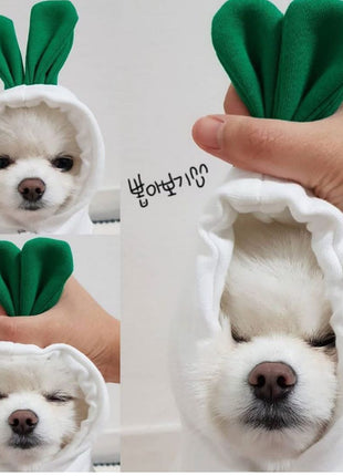 Cute Clothes for Cats or Dogs Hoodies Winter Warm Costume