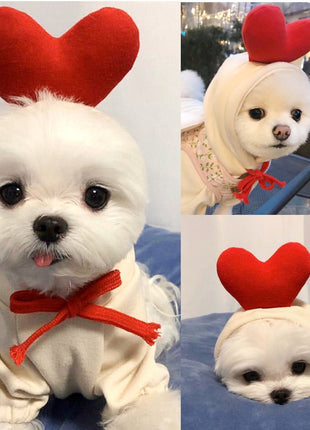 Cute Clothes for Cats or Dogs Hoodies Winter Warm Costume