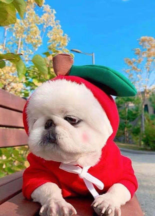 Cute Clothes for Cats or Dogs Hoodies Winter Warm Costume