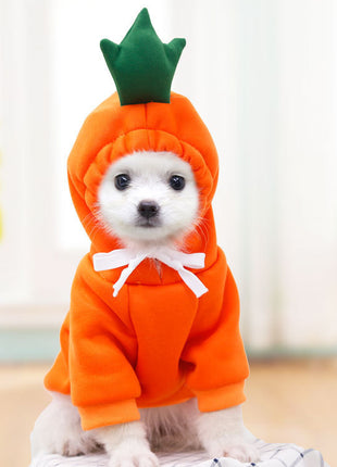 Cute Clothes for Cats or Dogs Hoodies Winter Warm Costume