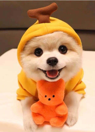 Cute Clothes for Cats or Dogs Hoodies Winter Warm Costume