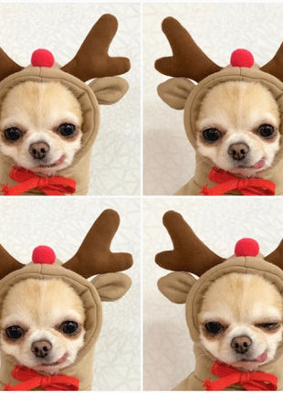 Cute Clothes for Cats or Dogs Hoodies Winter Warm Costume