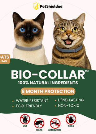 8 Months Pet Insect Repellent Adjustable Collar