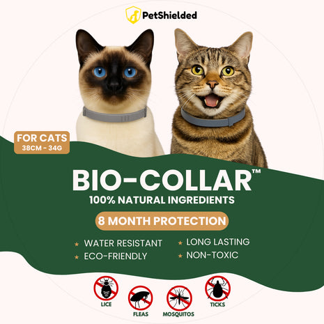 8 Months Pet Insect Repellent Adjustable Collar