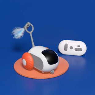 Interactive toy with Remote Control USB Charging