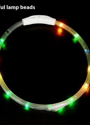 Glowing LED Collar USB Charging
