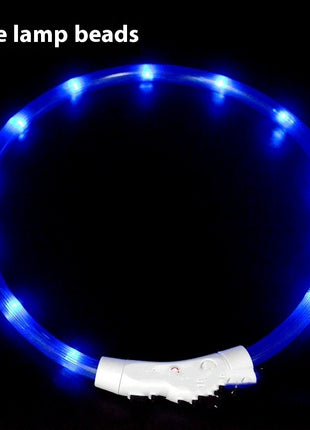 Glowing LED Collar USB Charging