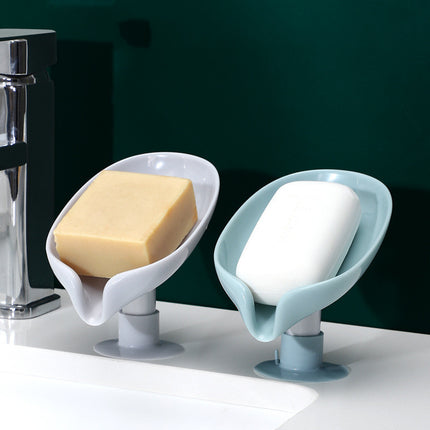Vertical Soap Dish with Drain