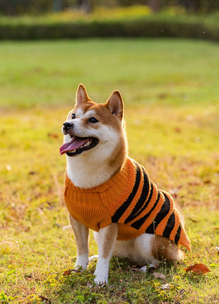 Halloween Dog Warm Leisure Sweater Cosplay Clothes