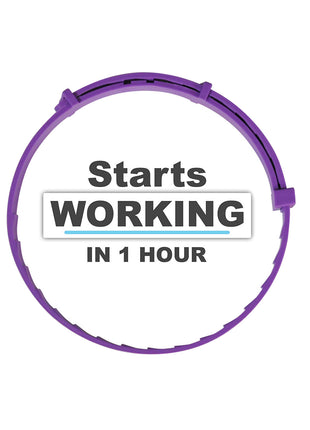 Pet Calm Collar Cat Comfort Collar Relieve Anxiety