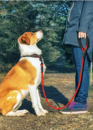 Reflective Leash Nylon Rope for Small, Medium & Large Dogs