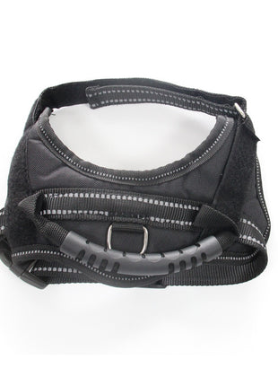 Dog Harness