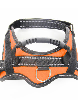 Dog Harness