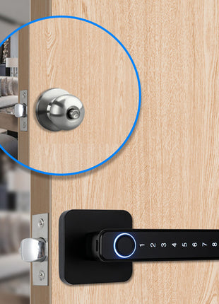 Graffiti Smart Indoor Fingerprint Lock