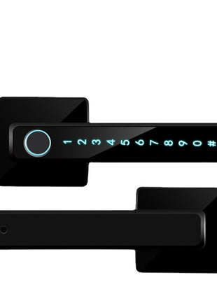 Graffiti Smart Indoor Fingerprint Lock