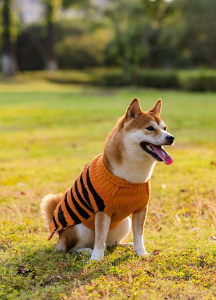 Halloween Dog Warm Leisure Sweater Cosplay Clothes
