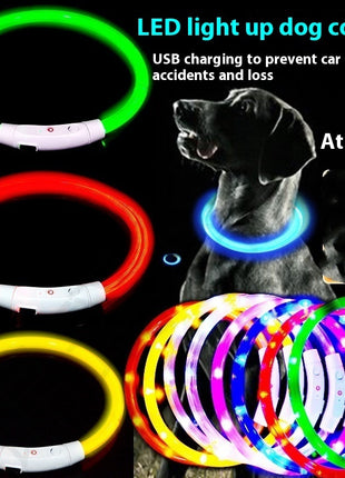 Glowing LED Collar USB Charging