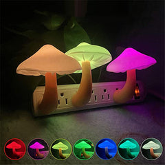 Collection image for: Lightings