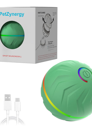 Intelligent Gravity Bouncing Ball for Dogs