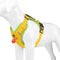 Pet Supplies