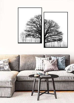 Black And White Trees - 70x100 cm