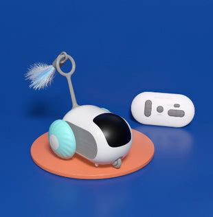 Interactive toy with Remote Control USB Charging