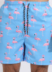 Blue flamingo