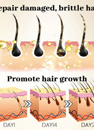 OUHOE Ginseng Scalp Hair Care