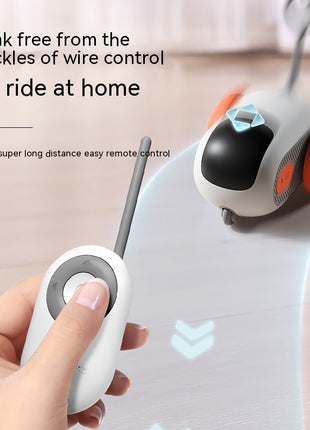 Interactive toy with Remote Control USB Charging