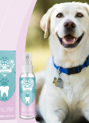 Pet Dental Care Spray