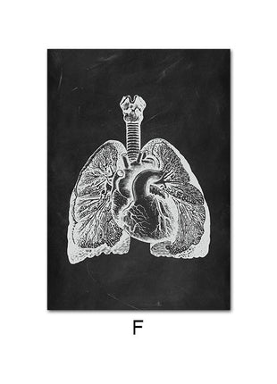Human Anatomy 60 X 90 cm
