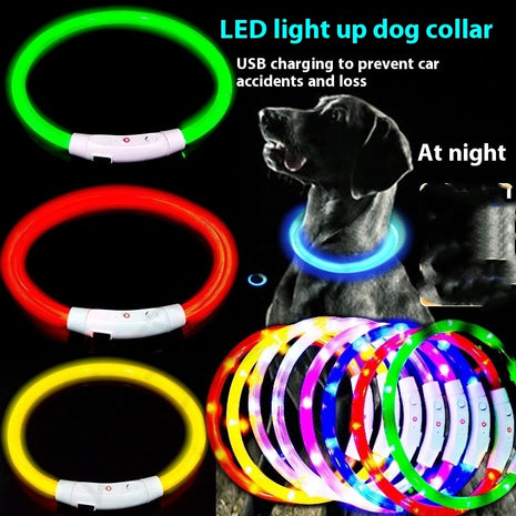 Glowing LED Collar USB Charging